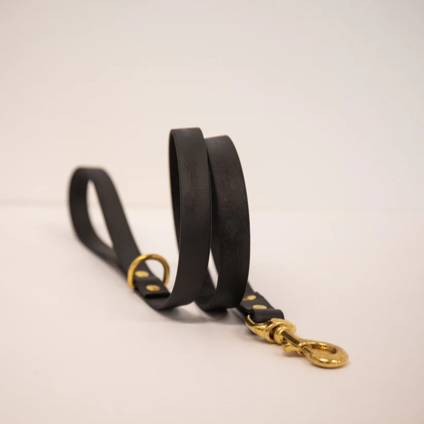 Black dog lead with gold hardware on a white background