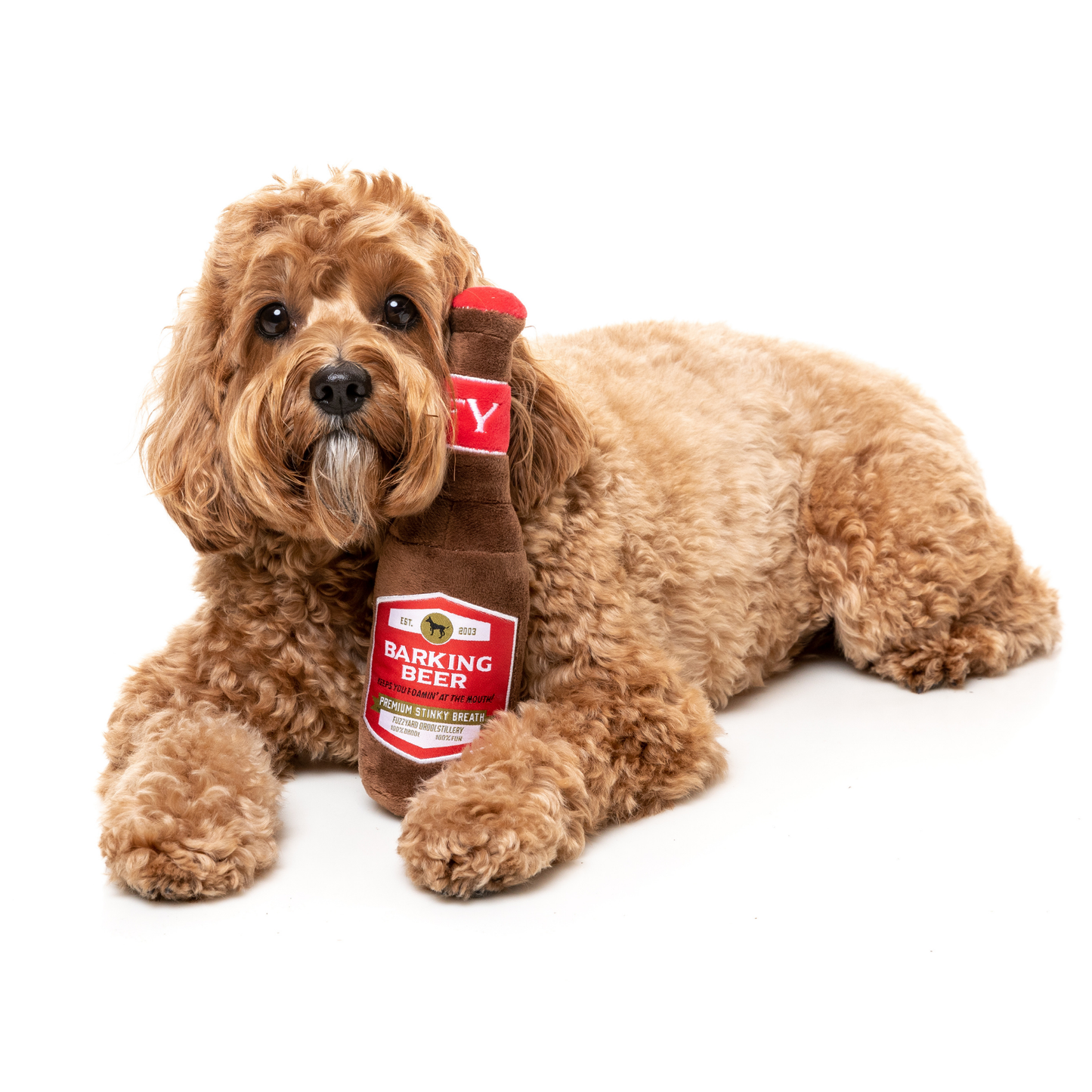 Dog holding a plush toy resembling a beer bottle with 'Barking Beer' branding on a white background