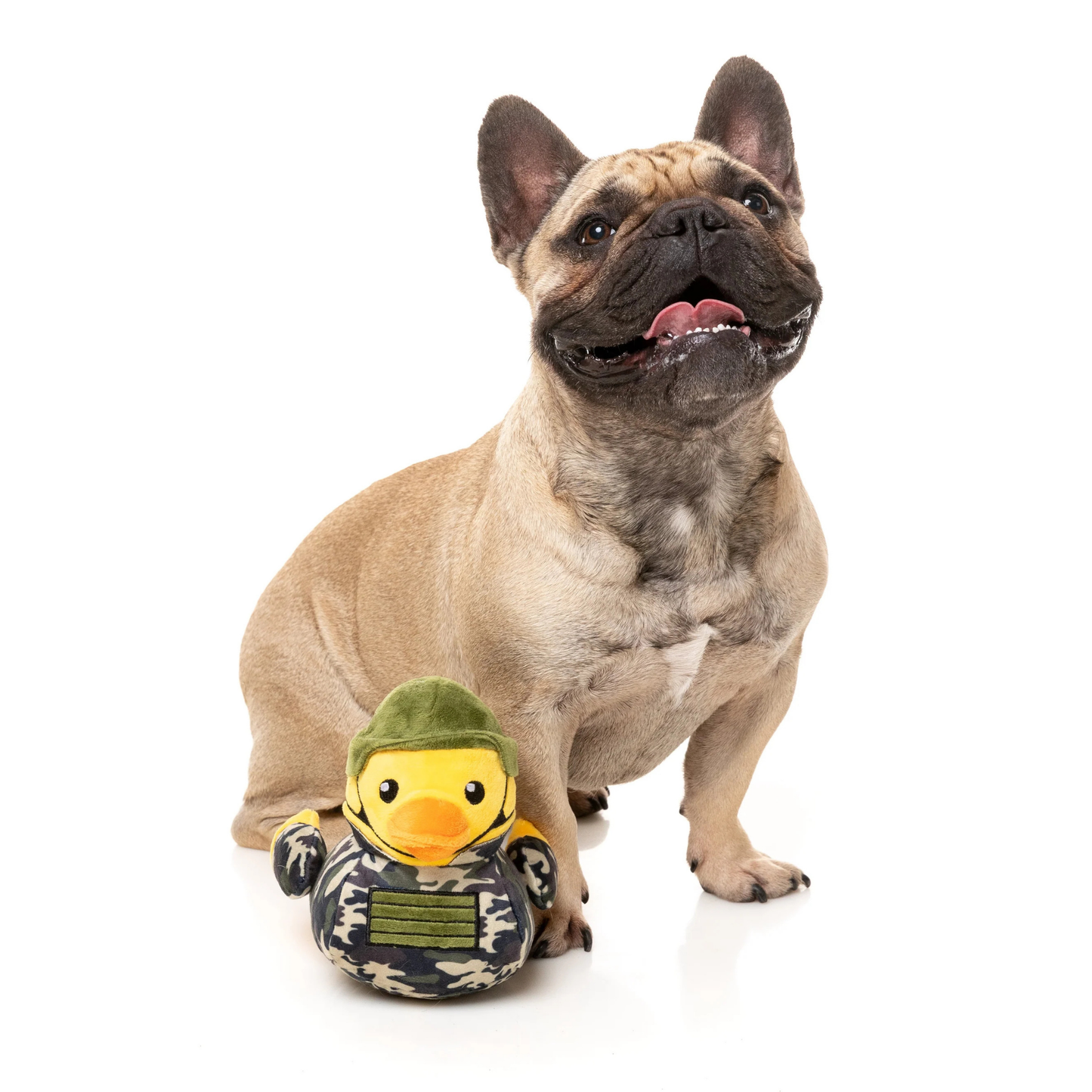 Dog with a duck toy wearing a camouflage military outfit and green helmet on a white background