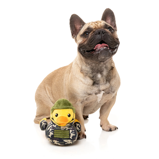 Dog with a duck toy wearing a camouflage military outfit and green helmet on a white background