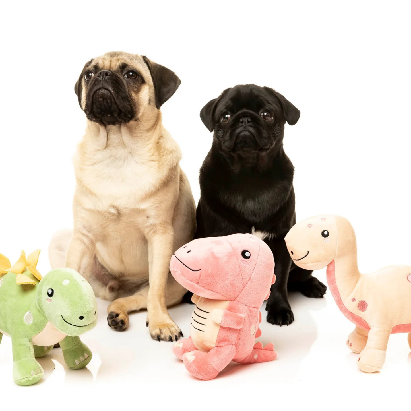 Two pugs sitting next to a set of three dinosaur plush toys on a white background