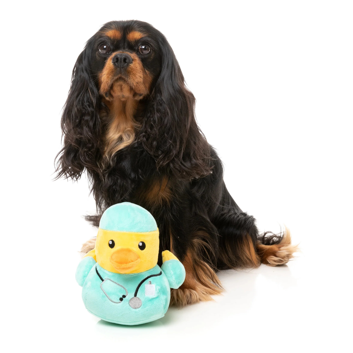 Dog sitting next to a plush toy duck dressed as a doctor on a white background