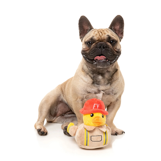 Dog sitting next to a duck toy dressed as a firefighter on a white background