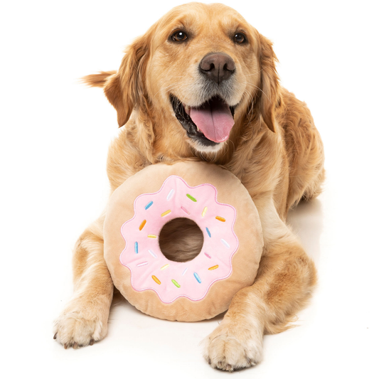 Dog playing with a donut-shaped dog toy on a white background
