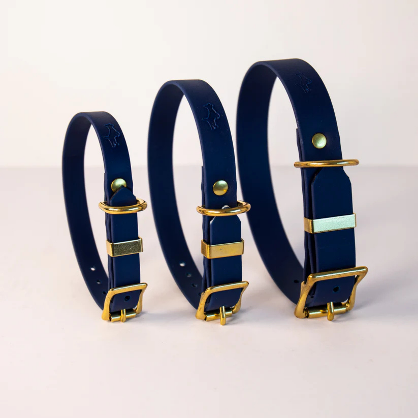 Three navy blue dog collars with gold hardware on a white background in a range of sizes (small, medium, large)