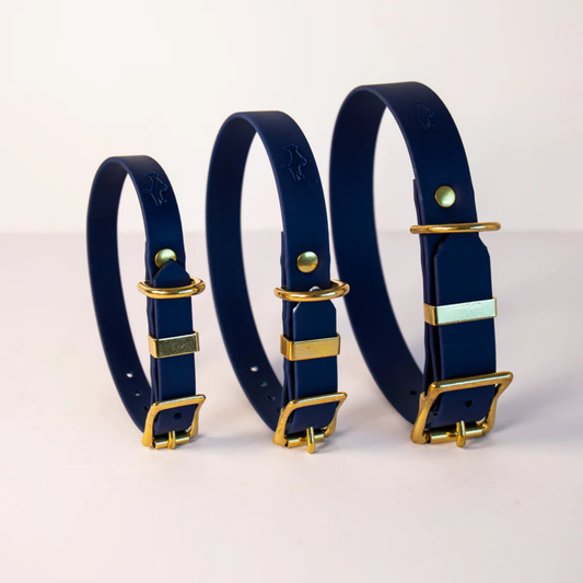 Three navy blue dog collars with gold hardware on a white background in a range of sizes (small, medium, large)