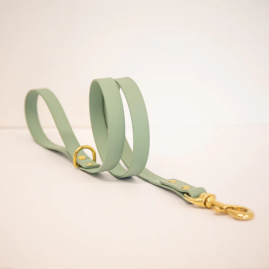Sage green dog lead with gold hardware on a white background