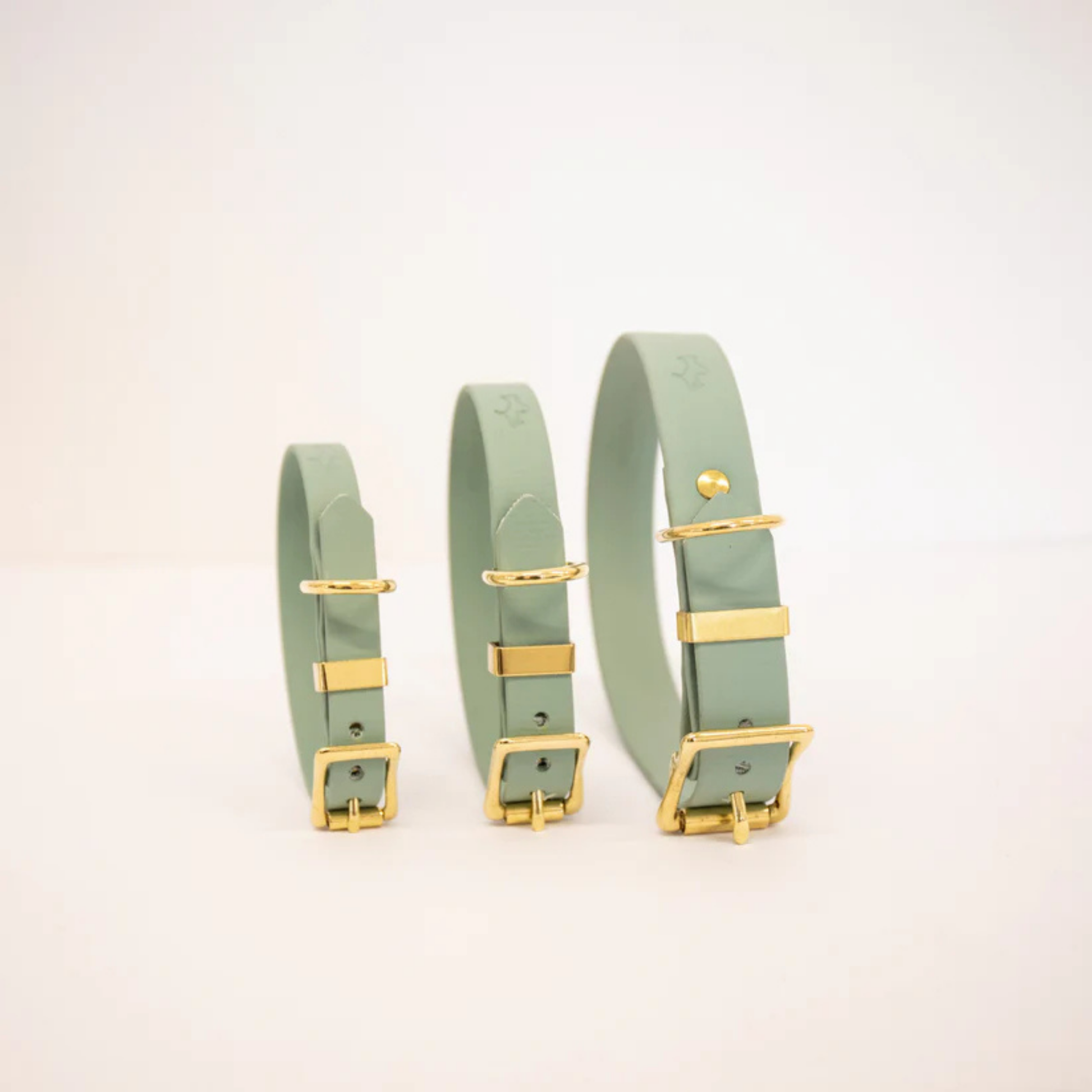 Three sage green dog collars with gold hardware on a white background in a range of sizes (small, medium, large)