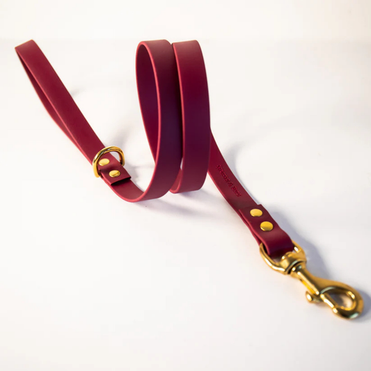 Wine colour dog lead with gold hardware on a white background