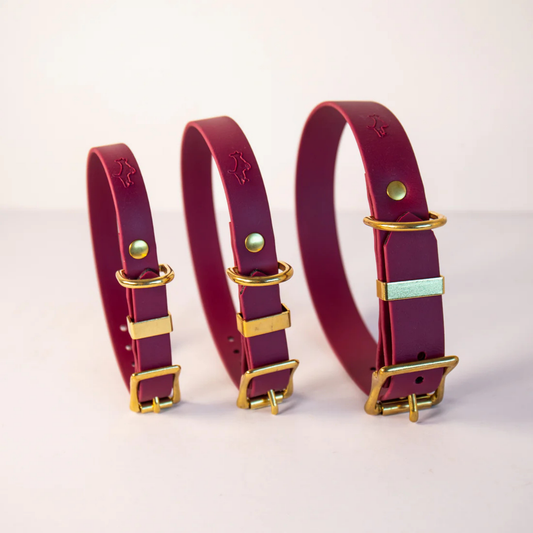 Three wine colour dog collars with gold hardware on a white background in a range of sizes (small, medium, large)