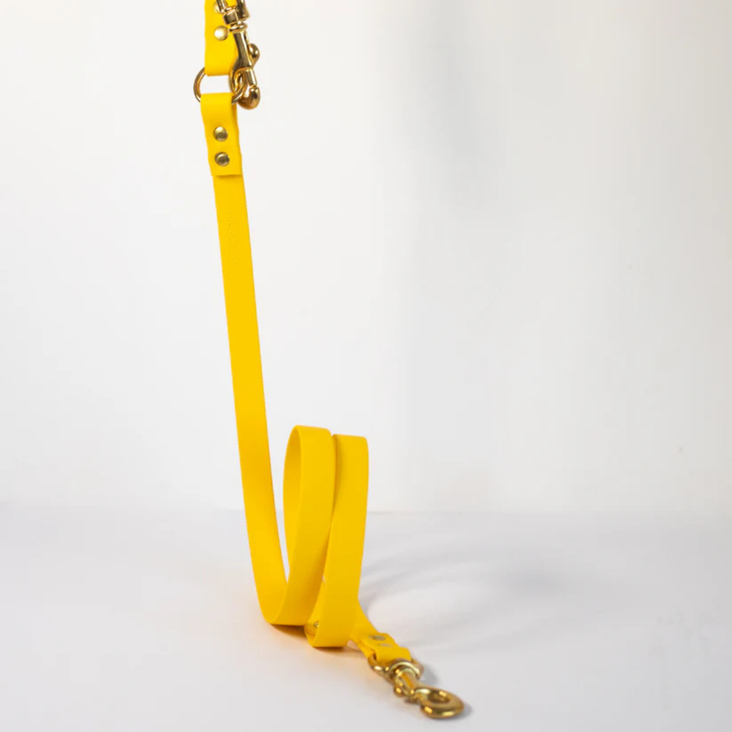 Yellow adjustable dog lead with gold hardware on a white background