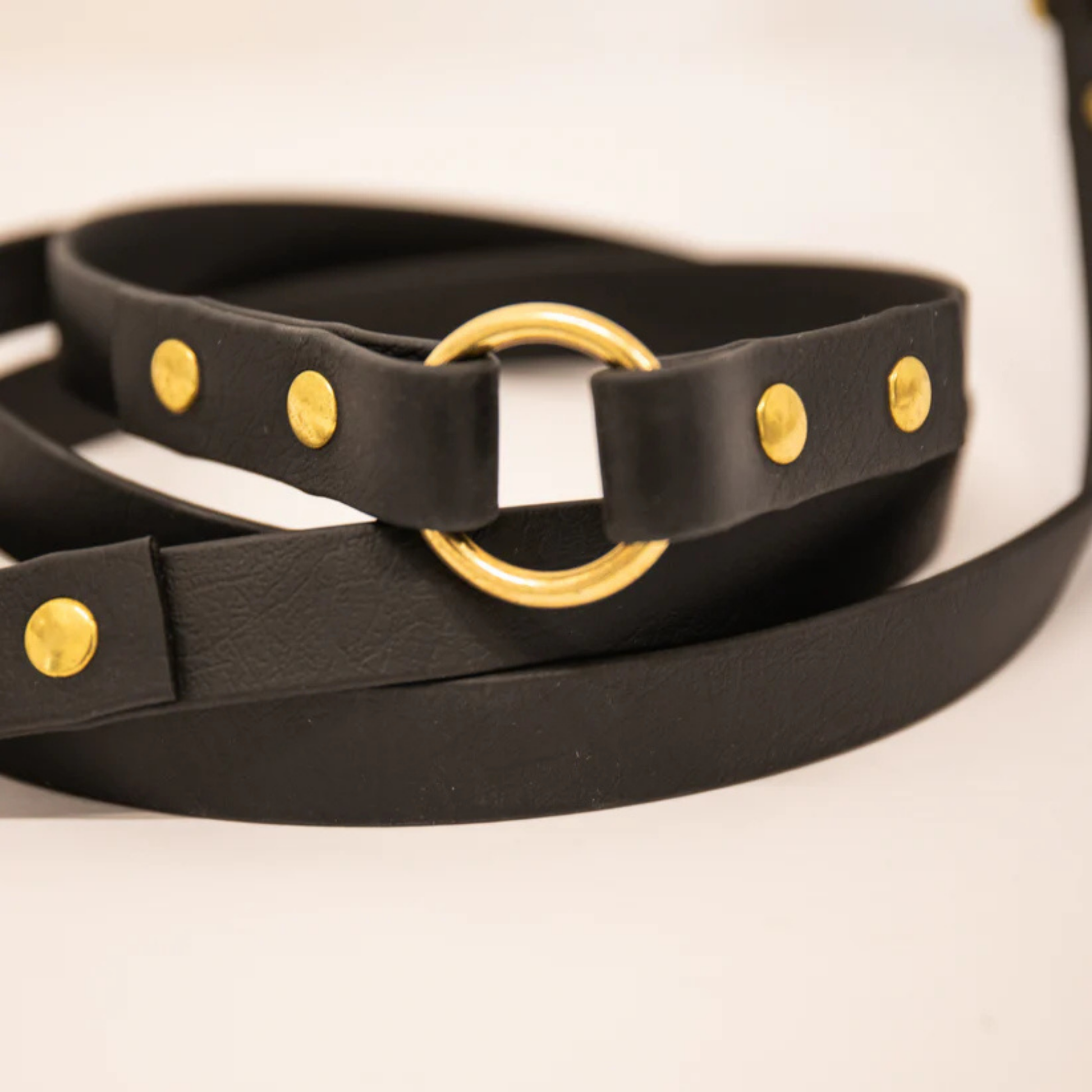Black adjustable dog lead with gold hardware on a white background