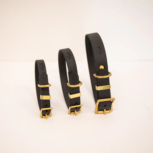 Three black dog collars with gold hardware on a white background in a range of sizes (small, medium, large)