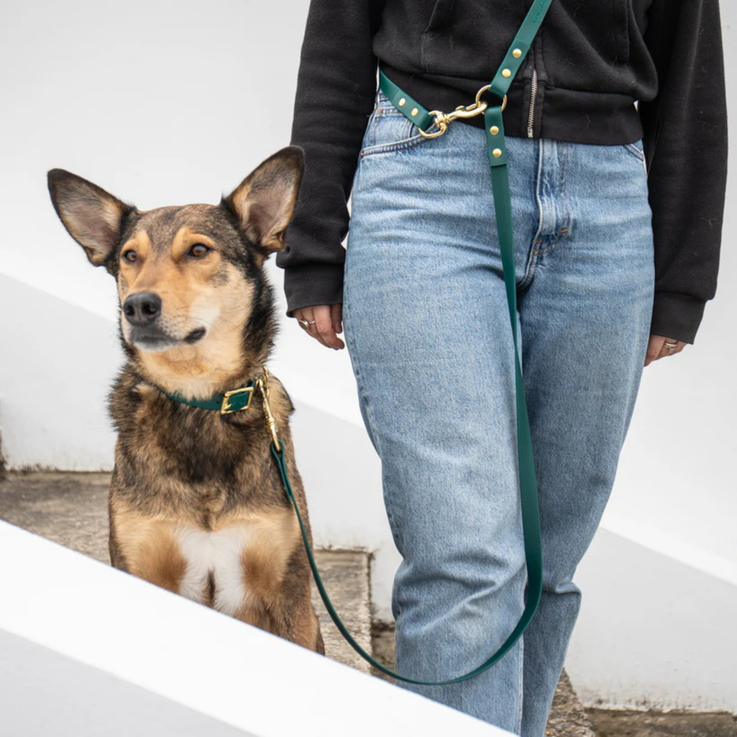 Dog on an adjustable forest green lead attached around a person