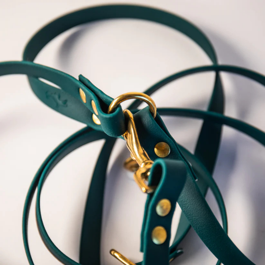 Forest green adjustable dog lead with gold hardware on a white background
