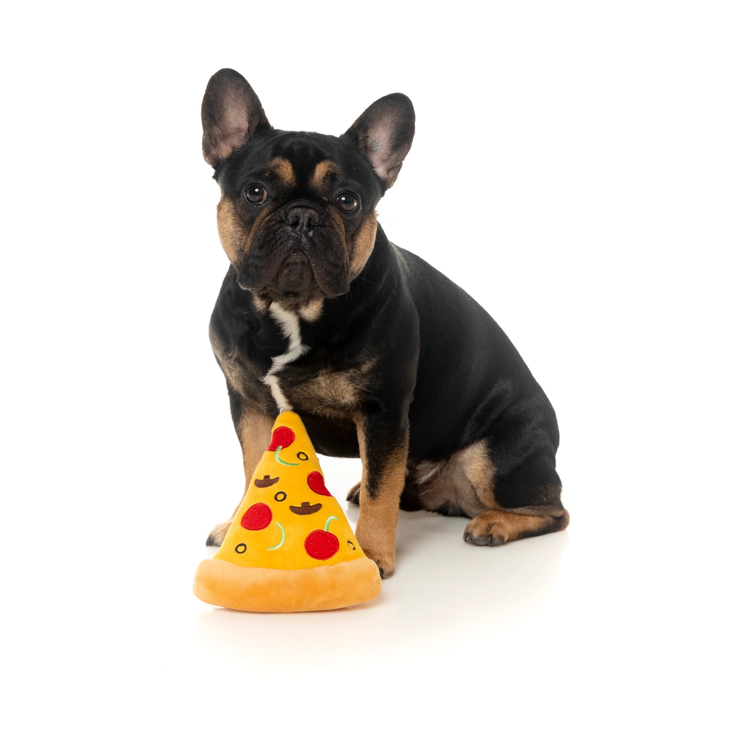 Dog playing with a pizza-shaped toy on a white background