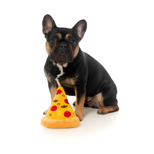 Dog playing with a pizza-shaped toy on a white background