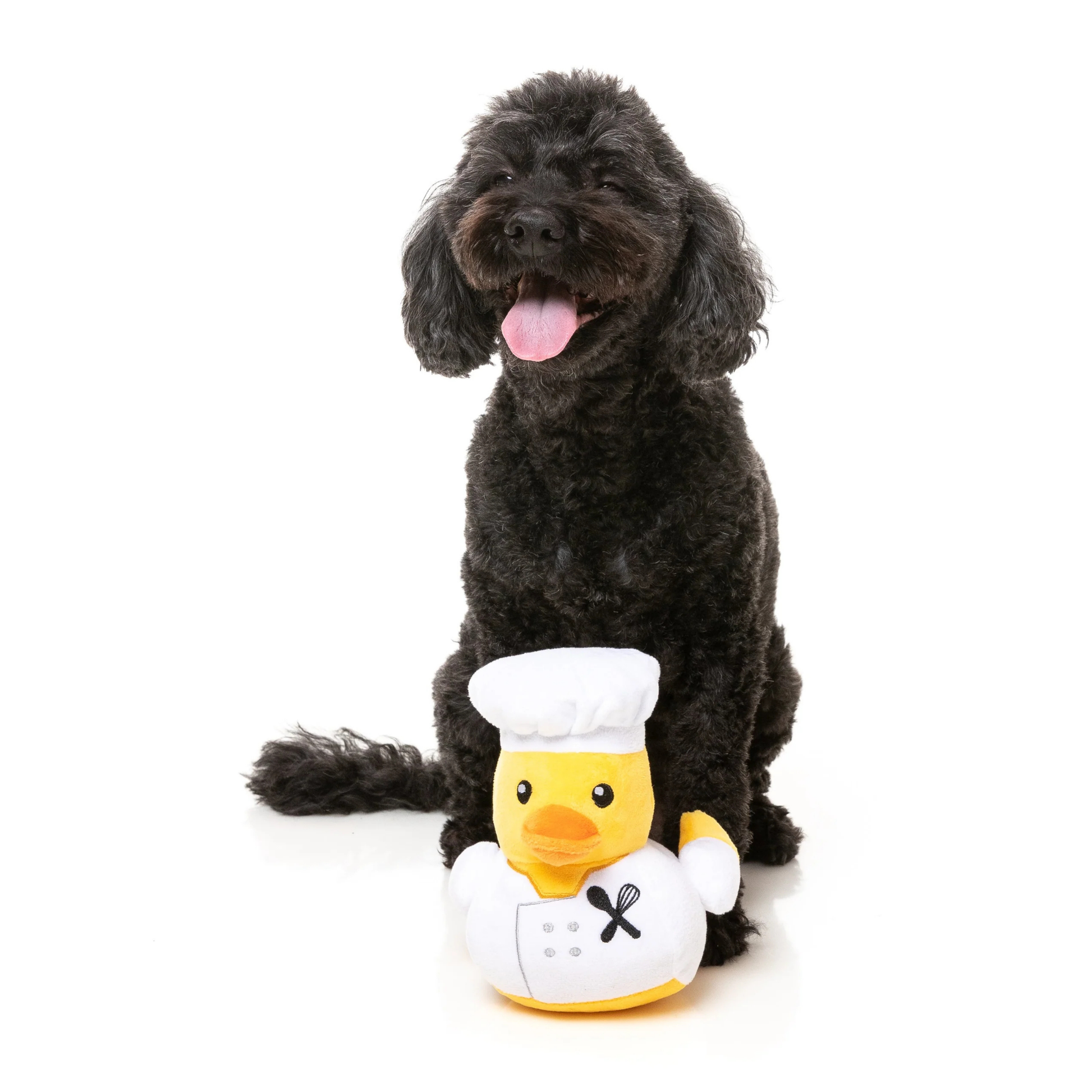 Dog sitting next to a duck toy with a chef's outfit on a white background