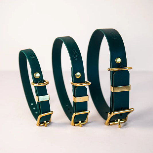 Three forest green dog collars with gold hardware on a white background in a range of sizes (small, medium, large)